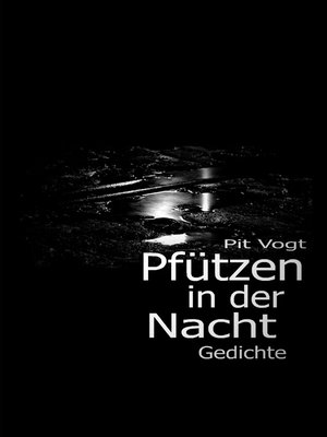 cover image of Pfützen in der Nacht